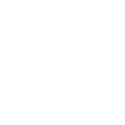 web-development
